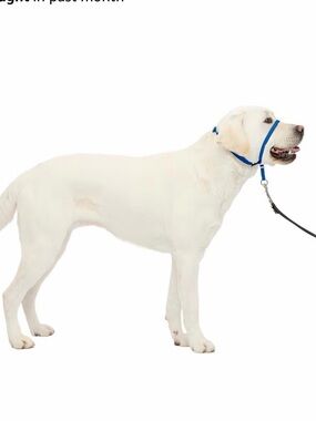 PetSafe Gentle Leader No-Pull Dog Headcollar - Royal Blue Size L